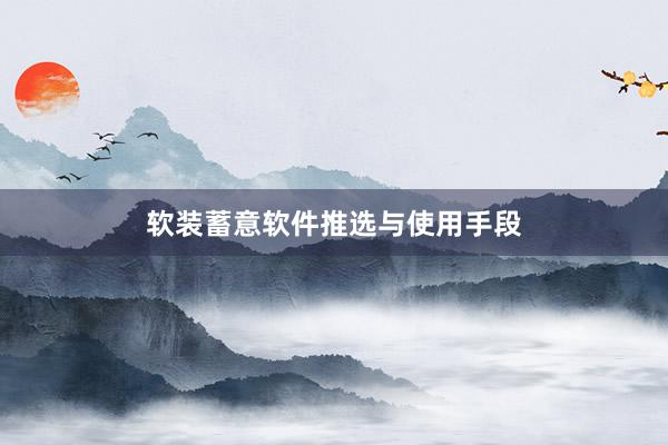 软装蓄意软件推选与使用手段