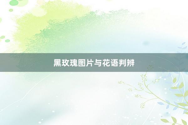 黑玫瑰图片与花语判辨