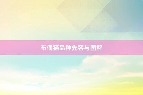 布偶猫品种先容与图解
