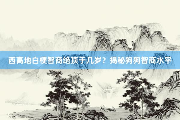 西高地白梗智商绝顶于几岁？揭秘狗狗智商水平