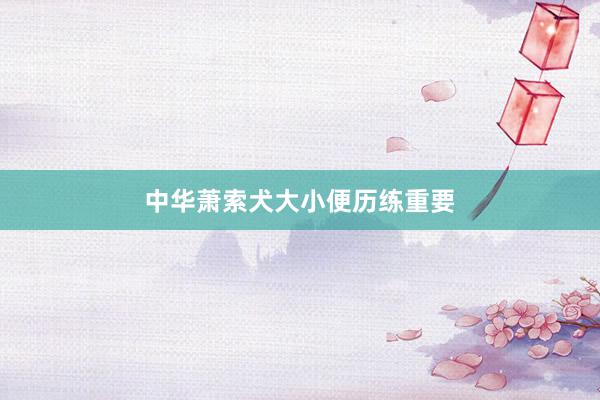 中华萧索犬大小便历练重要