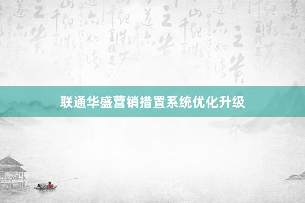 联通华盛营销措置系统优化升级
